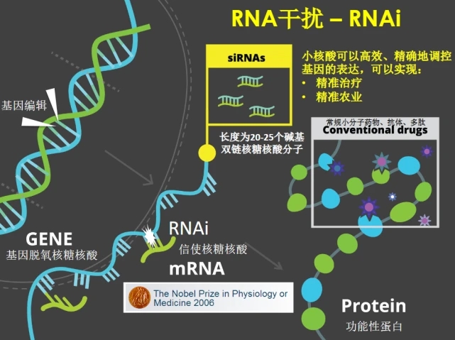 rna生物农药商业化及发展趋势(图1)